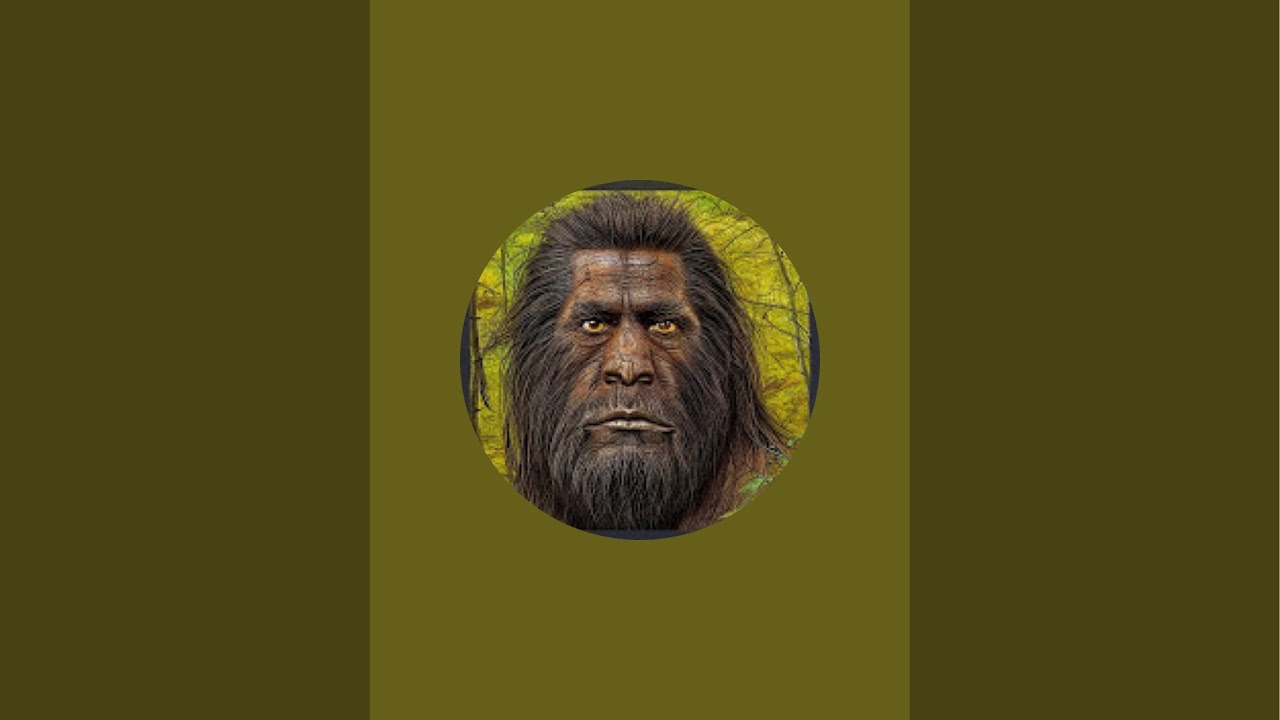 Sasquatch and paranormal in Wineberry holler  is live!