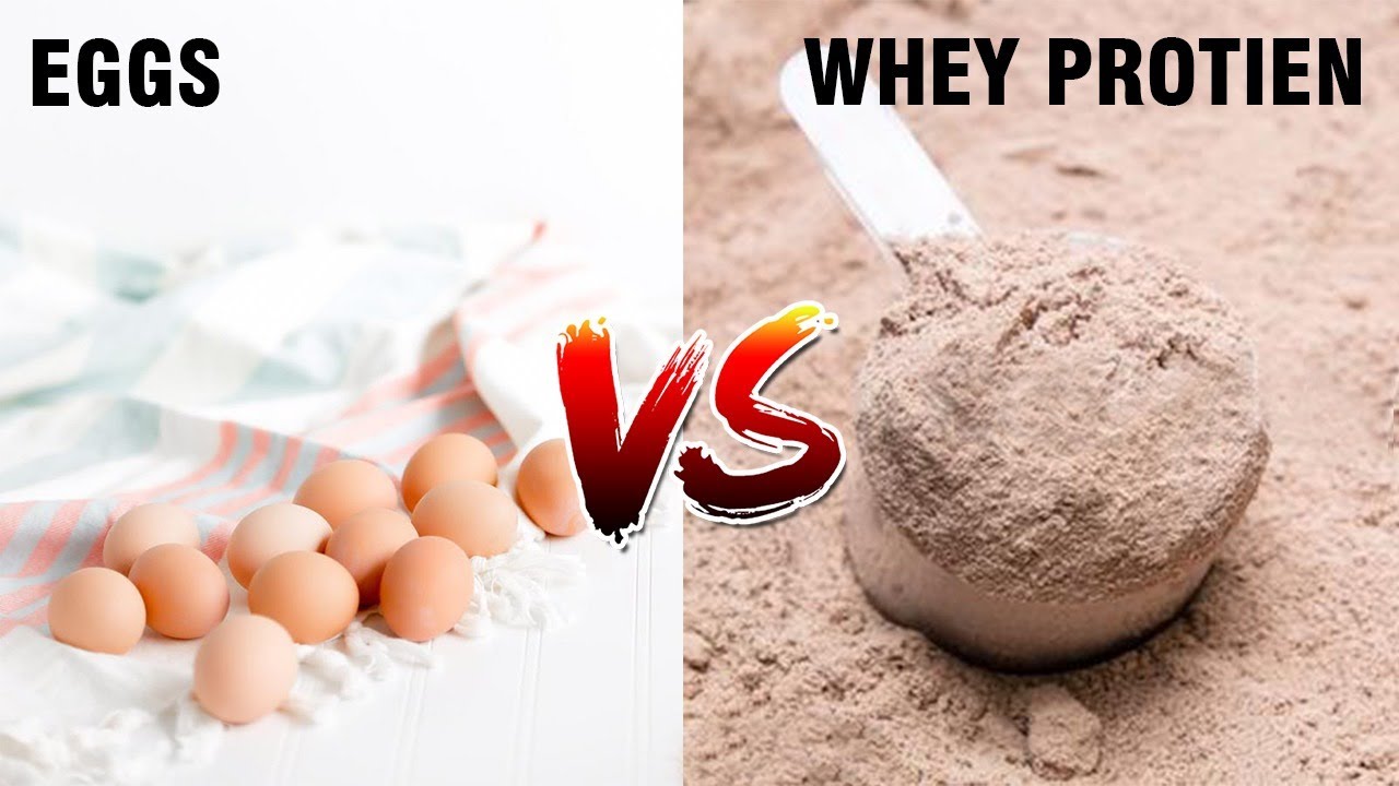 WHEY PROTEIN VS EGGS! | WHICH IS BEST FOR YOU? | DETAIL COMPARISON IN URDU PUNJABI | OMER CHAUDHARY - YouTube