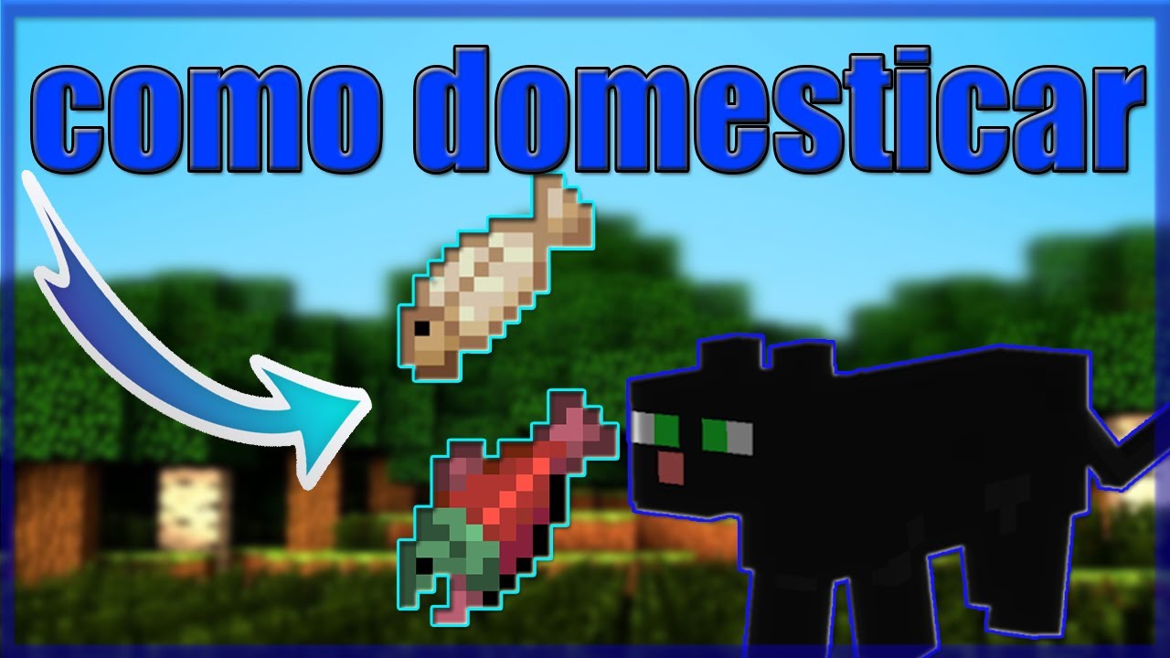 Como domesticar um gato no Minecraft – Tecnoblog