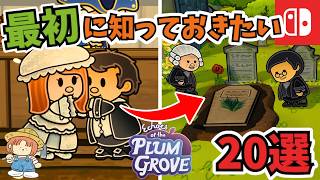 Switchで遊べるEchoes of the Plum Groveの最初に知っておきたいこと20選！エコーズオブザプラムグローブ！