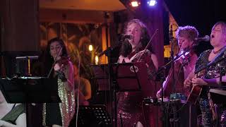 "Bears" live at Guilt & Co