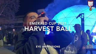 Emerald Cup 2021 Harvest Ball High Impressions