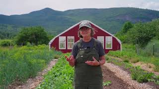 Scale-up Your Home Garden to an Organic Market Garden