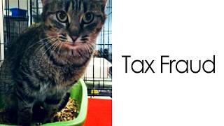 Pets With Names So Perfect They Deserve Awards