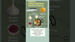 ПРОДУКТЫ СТИМУЛИРУЮЩИЕ КОЛЛАГЕН