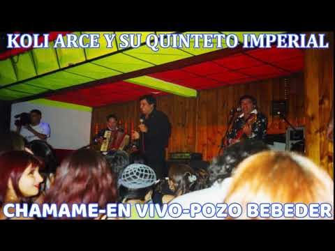 KOLI ARCE Y