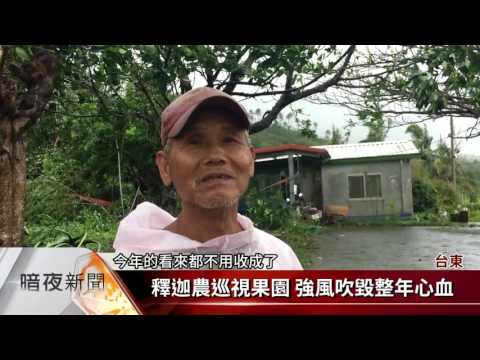 尼伯特狂掃17級陣風 台東樹倒民房毀【客家新聞20160708】