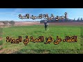 أحسن طريقة للقضاء على عجز الفصة🌿/ فلاحة مغربية/ #فلاحة