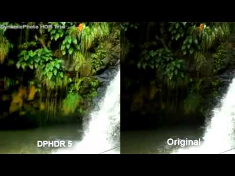 dphdr dphdr
