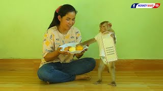 Master Chef Monkey Kako With Mom Stir Fry Egg With Vegetables