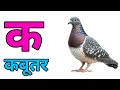 कखगघ | अआइई | हिंदी वर्णमाला स्वर व्यंजन | क से कबूतर | अ से अनार आ से आम | क  से  ज्ञ तक  व्यंजन |