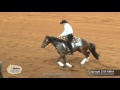 Arno honstetter and whizkey chaser open futurity finals level three champion