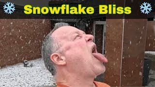 Delightful Denver Snowfall: Tom’s Winter Wonderland
