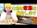 我が家の息子を紹介します!8kgまで成長した姿が、既に大御所オーラ満載!