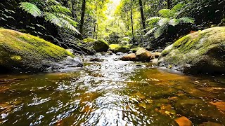 🍃 Beautiful Relaxing Music Stress Relief - Soothing Nature to Stop Overthinking & Anxiety 🍃