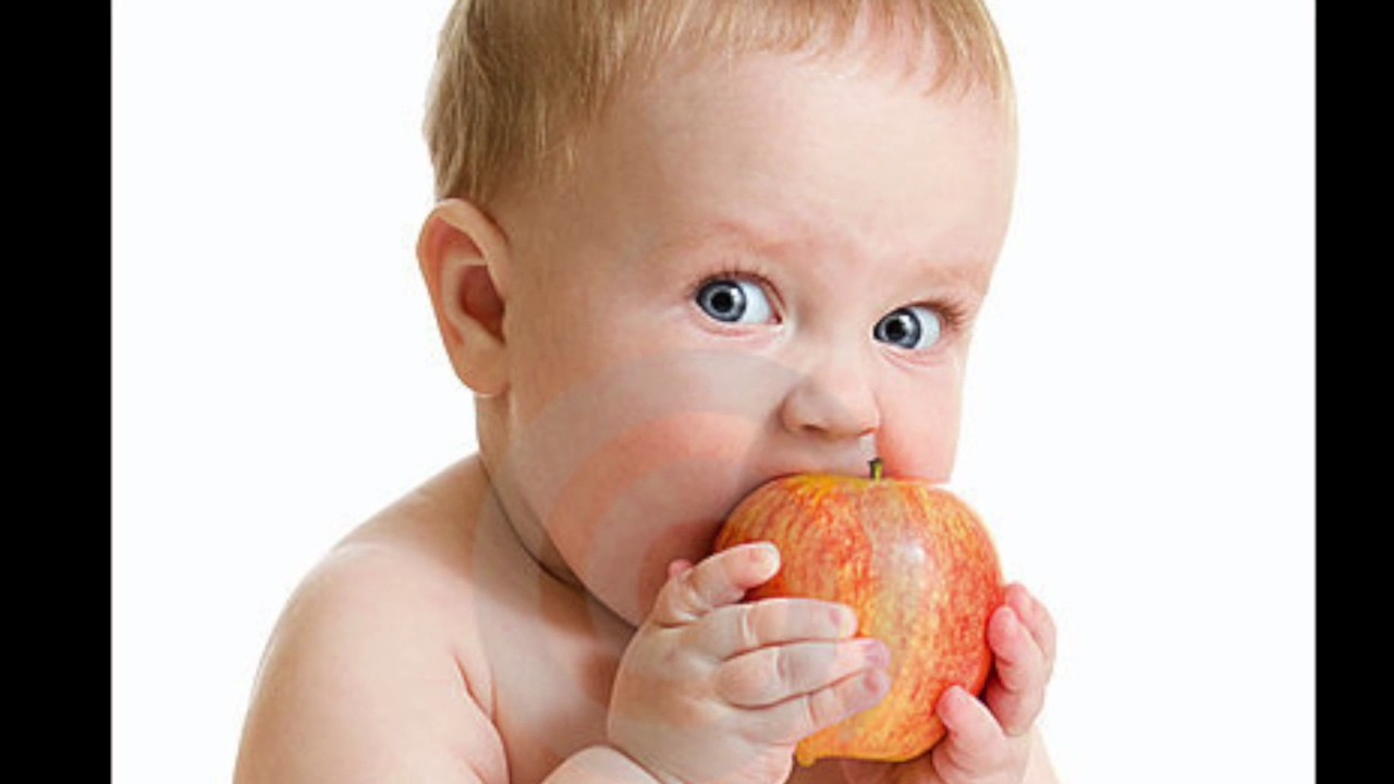 Health at Every Size NFSC 200