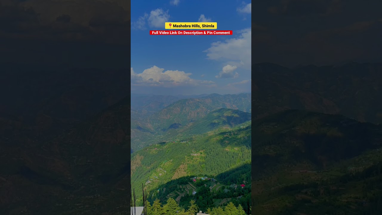 Beautiful Hill Station in India | Mashobra Shimla Hills #shorts #travel #shimla #mashobra