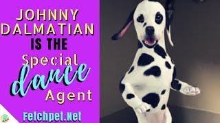 Johnny Dalmatian is The Special (Dance) Agent