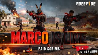 🔥 Full Map SQUAD Esports Tournament – Live! | Free Fire Battleground Action screenshot 2