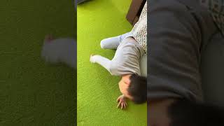 かくれてーぼー