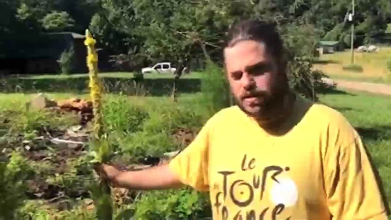 Tom Antion Facebook Live 6.26