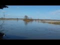 разлив реки Гжать 20112.mp4