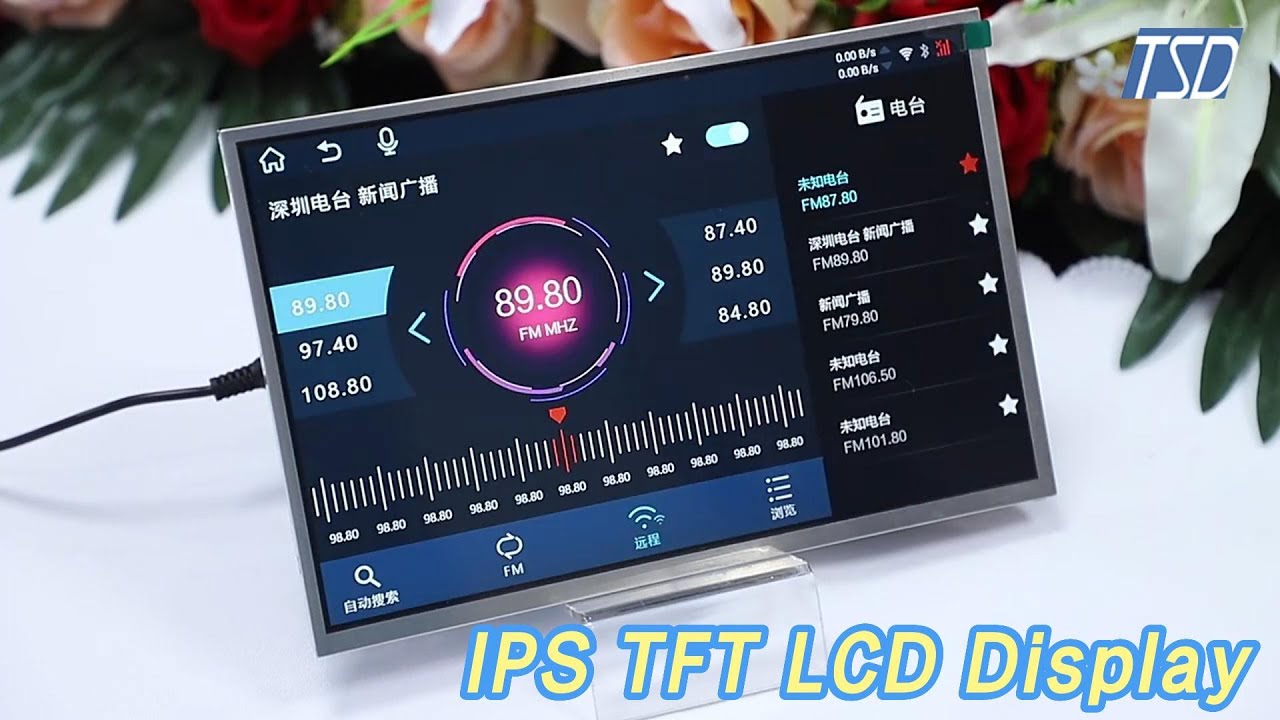 High Brightness IPS TFT LCD Display 10.1 Inch 1280 x 800 Resolution