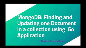 MongoDB: Finding and Updating one Document in a collection using Go Application
