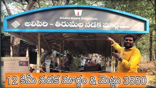 Alipiri Mettu to Tirumala By foot 2024 || అలిపిరి నుండి తిరుమల కాలినడక || तिरुपति बालाजी