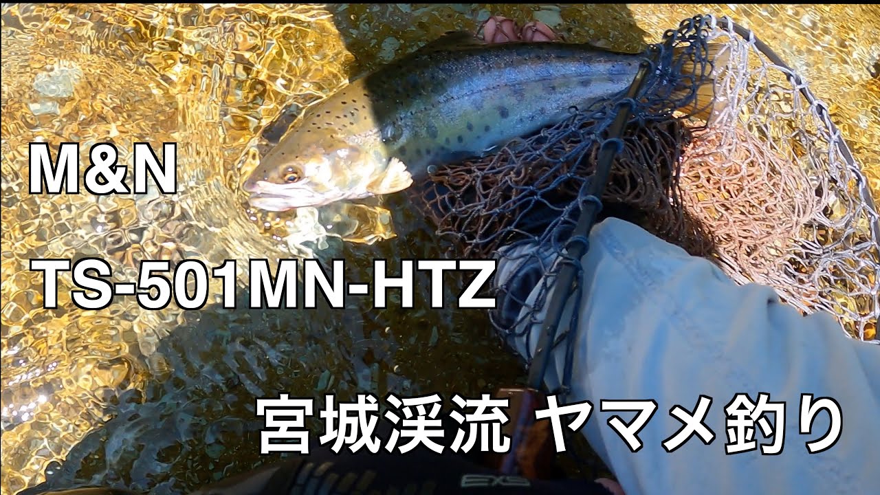 M&N TS-501MN-HTZでヤマメ釣り 宮城渓流 2024 part.3 - YouTube M&N TS-501MN-HTZでヤマメ釣り 宮城渓流 2024 part.3 - YouTube