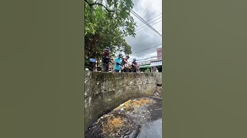 Lắp đặt thành công Phao chắn rác số 24 #saigonxanh #trash #cleanup #cleaning #shorts #windnet