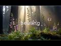 Soft Piano That Heals The Heart Gentle Emotional Music 