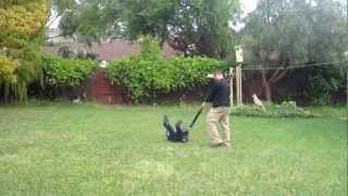 Sploder comes to life part 2
