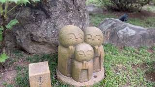 宝徳寺　床もみじと牡丹