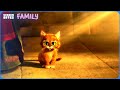 Puss in Boots Reveals His Past | Puss In Boots (2011) | Screen Bites Family