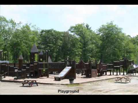 Wediko School Profile 2021 Hillsborough Nh