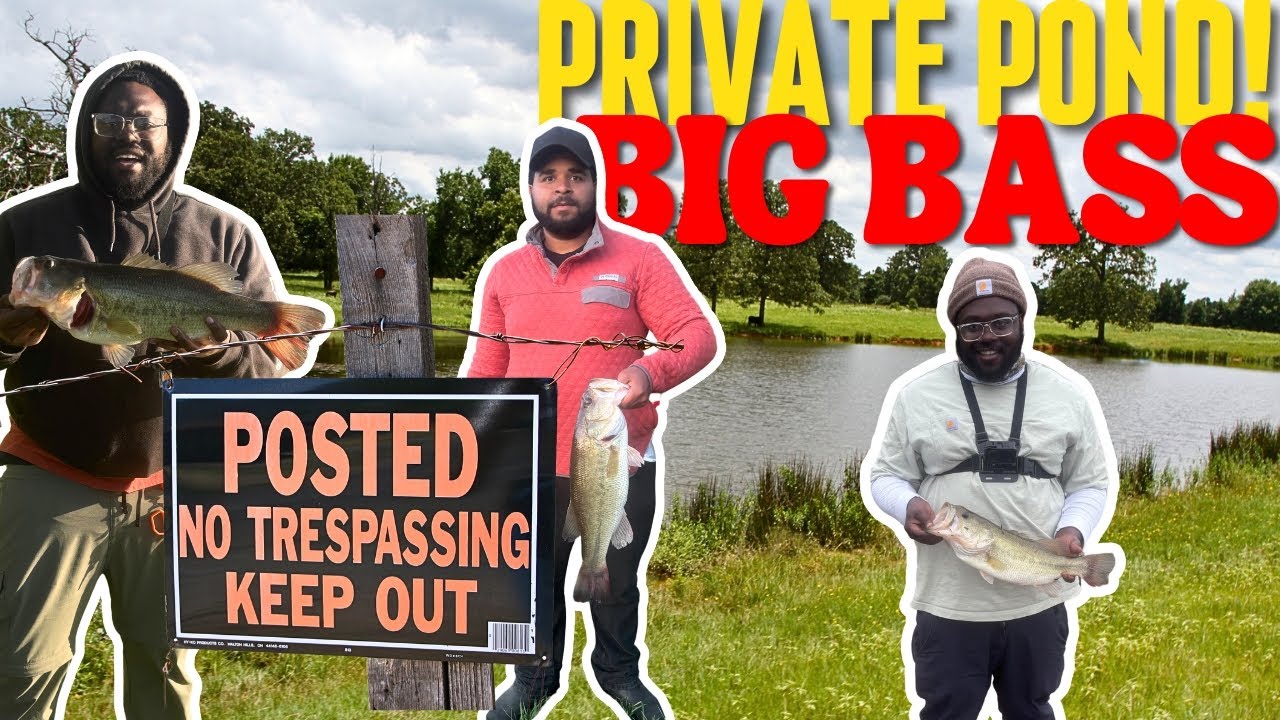 GIANT Bass Caught from the Bank! | Private Pond Fishing Adventure