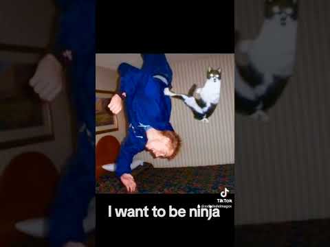 I Want To Be Ninja