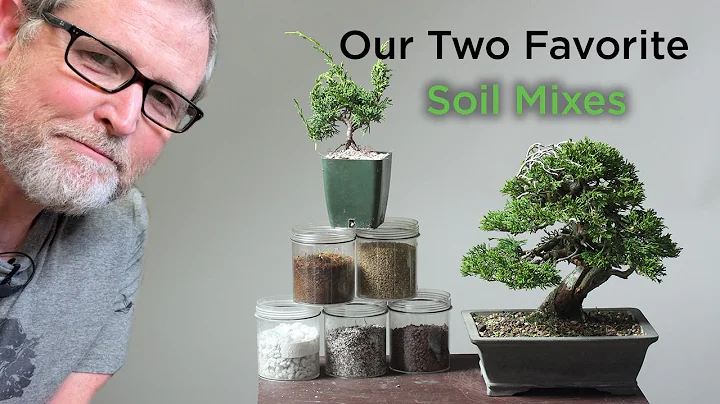 Bonsaify | Eric Answers a Common Bonsai Question: ...