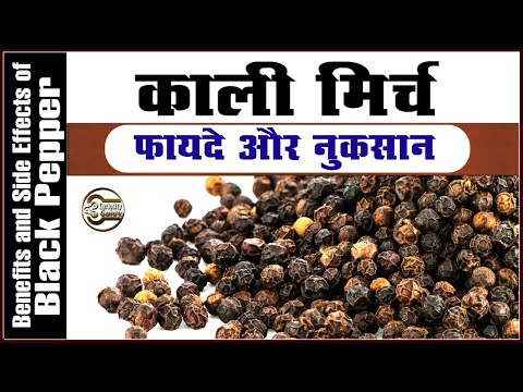 काली मिर्च के फायदे और नुकसान - (Kali Mirch) Black Pepper Benefits and Side Effects in Hindi