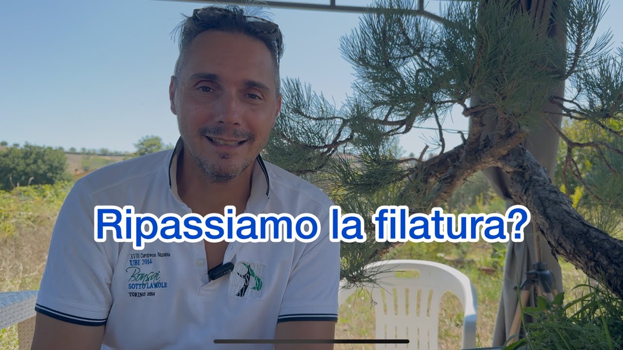 Le regole piu’ importanti per filare i bonsai