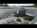Fly high above Pageo Lavender Farm in Turlock