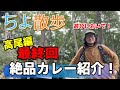 【ちよ散歩】高尾編 (3/3回) 静かな極上トレイル案内 〜ついに下山・千代田オススメのカレー店コーヒー&ビール店へ〜