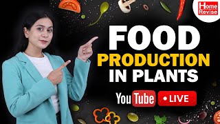 Food production in plants | Biology | Standard 8 | Home Revise Live screenshot 4