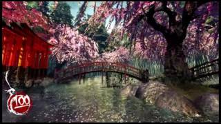 Shadow Warrior on Vortex GG Details