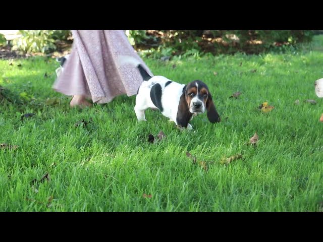 Penelope video thumbnail