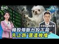 啪...沒了!韓股熔斷 台股殺2030點...華邦電.國巨跌停 先止跌「選這幾檔」20260728｜#主播張蕙纖 #分析師陳於晨｜T台最錢線 PODCAST｜TVBS新聞 @TVBSNEWS01