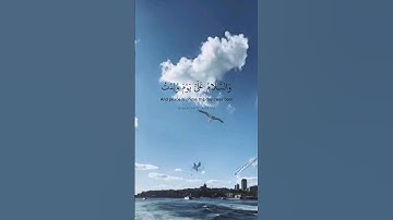 والسلام علي يوم ولدت ويوم أموت ويوم أبعث حيا. ماتيسر من سورة مريم بصوت القارئ صلاح أبو خاطر