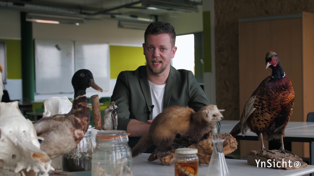 Voorlichting klas 2 - Piter Jelles YnSicht