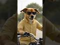 They don’t let him in ❌ | then he start his own journey 🦮🦮#shorts #dog #viral #trending #cutedog